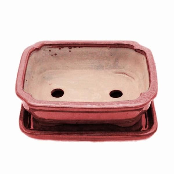 bonsai skål med fat storlek 2 - rektangulär g12 - röd - l 15,5 cm - l 12 cm - l 12 cm - h 4,5 cm