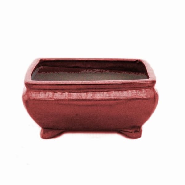 bonsai skål med fat storlek 2 - rektangulär g81 - röd - l 14,5 cm - b 11,3 cm - h 6,6 cm