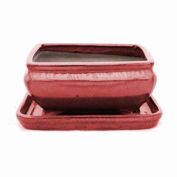 bonsai skål med fat storlek 2 - rektangulär g81 - röd - l 14,5 cm - b 11,3 cm - h 6,6 cm