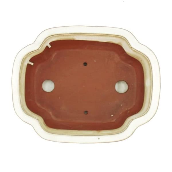 bol bonsai med fat storlek 4 - haitang i4 - ljusbeige - l 26cm - b 20,5cm - h 8,5cm