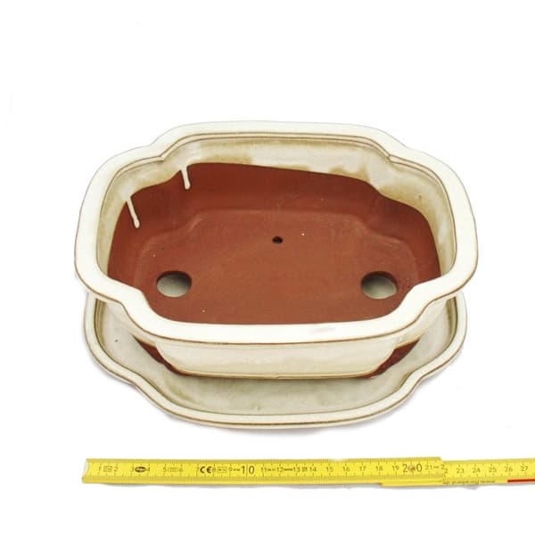 bol bonsai med fat storlek 4 - haitang i4 - ljusbeige - l 26cm - b 20,5cm - h 8,5cm
