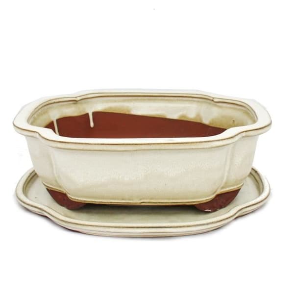 bol bonsai med fat storlek 4 - haitang i4 - ljusbeige - l 26cm - b 20,5cm - h 8,5cm