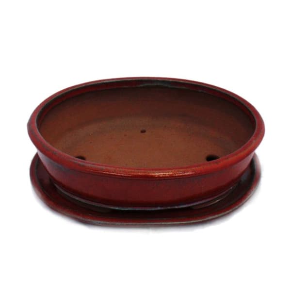 bonsai skål med fat storlek 5 - röd - oval - modell o3 - l 31cm - b 24,5cm - h 8,5cm