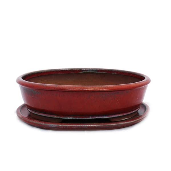 bonsai skål med fat storlek 5 - röd - oval - modell o3 - l 31cm - b 24,5cm - h 8,5cm