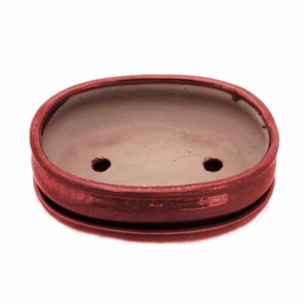 bonsai skål med fat storlek 3 - oval oval - röd - l 19cm - l 19cm - l 13,5cm - h 5cm