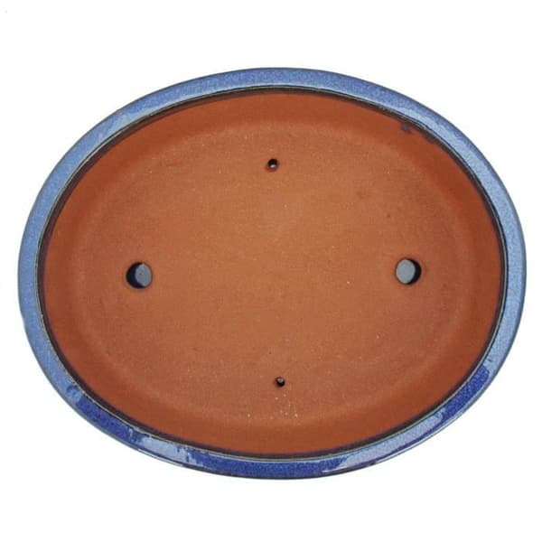 bol bonsai med fat storlek 5 - oval o1 - blå - l 31cm - b 24cm - h 9cm