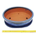 Miniatyrbild 2 av 3: bol bonsai med fat storlek 5 - oval o1 - blå - l 31cm - b 24cm - h 9cm