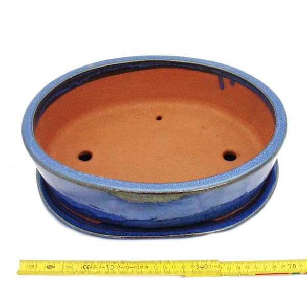 bol bonsai med fat storlek 5 - oval o1 - blå - l 31cm - b 24cm - h 9cm