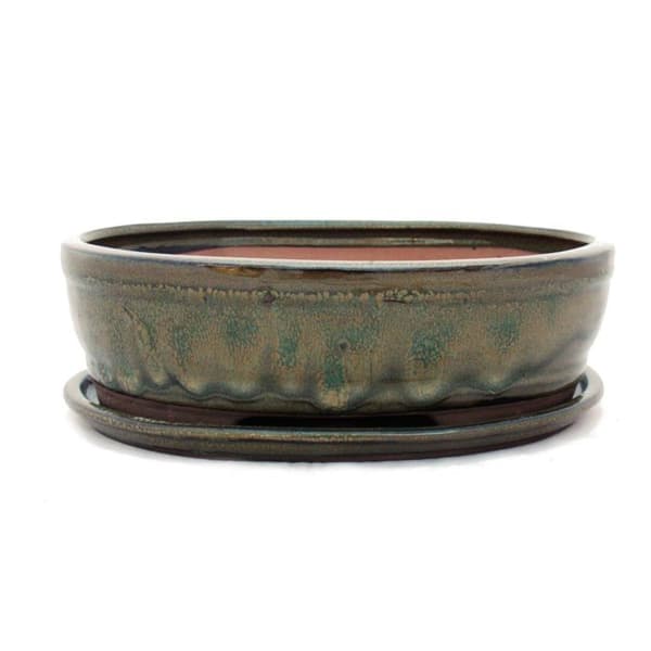 bonsai skål med fat storlek 4 - olivbrun - oval - modell o7 - l 26cm - b 21cm - h 7,5cm