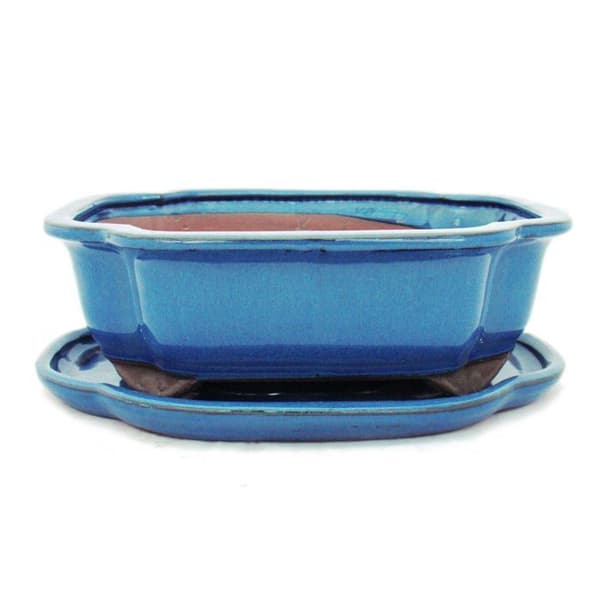 bonsai skål med fat storlek 4 - blå - haitang/oval - modell i4 - l 26cm - b 20,5cm - h 8,5cm
