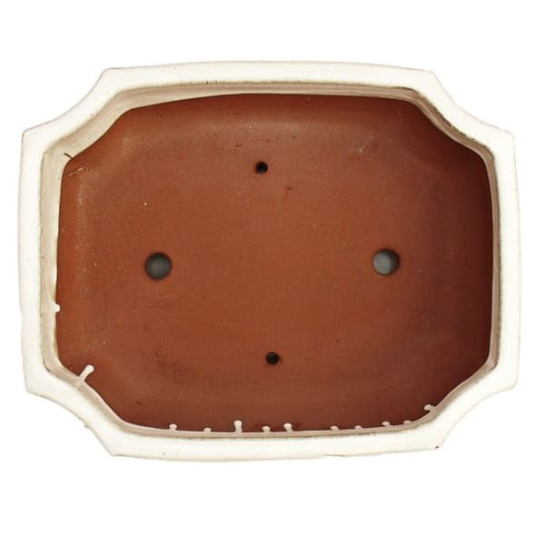 bonsai skål med fat storlek 4 - rektangulär g117 - ljus beige - l 25,5 cm - b 19,5 cm - h 8,2 cm