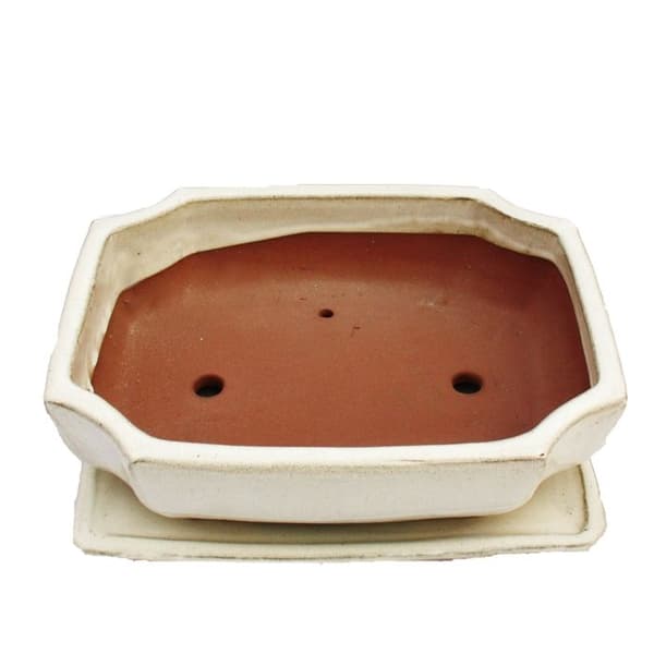 bonsai skål med fat storlek 4 - rektangulär g117 - ljus beige - l 25,5 cm - b 19,5 cm - h 8,2 cm