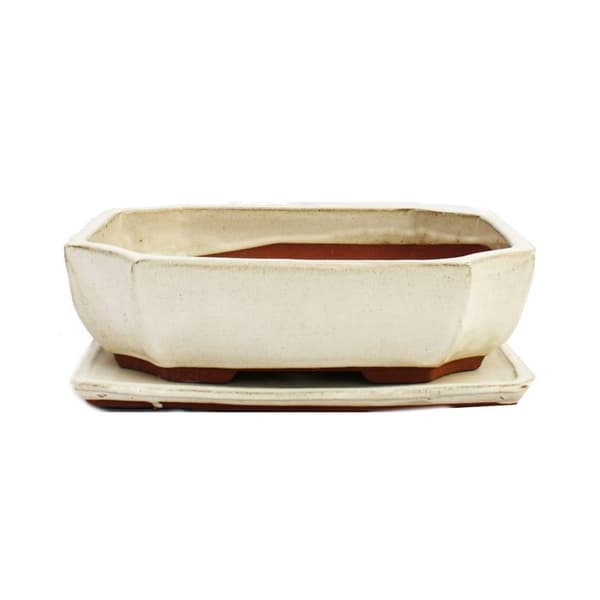 bonsai skål med fat storlek 4 - rektangulär g117 - ljus beige - l 25,5 cm - b 19,5 cm - h 8,2 cm