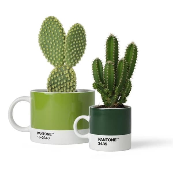 Pantone - Porslinsmugg - 375 ml - Mörkgrön 3435