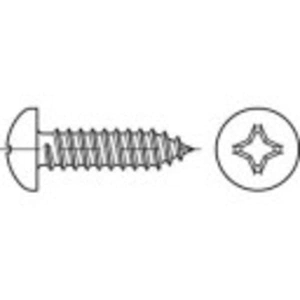 TOOLCRAFT 144979 Linsplåtskruvar 3.5 mm 16 mm Stjärnskruvmejsel Philips DIN 7981 Stål galvaniskt förzinkad 100 st
