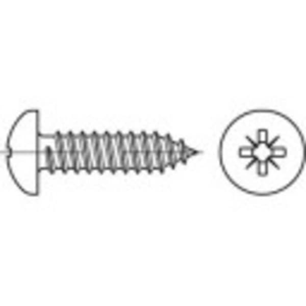 TOOLCRAFT 147585 Linsplåtskruvar 2.9 mm 6.5 mm Stjärnskruvmejsel Pozidrivspår Stål galvaniskt förzinkad 100 st