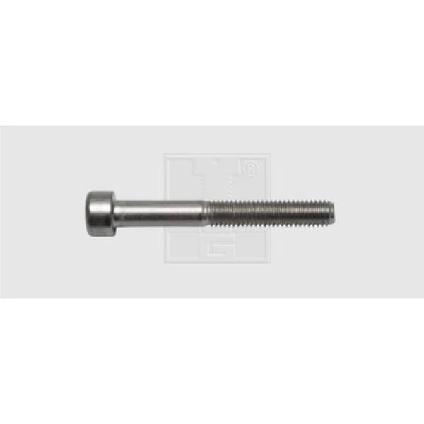 SWG 9462067 Insexskruvar M6 20 mm Insexkant DIN 912 Rostfritt stål A2 50 st