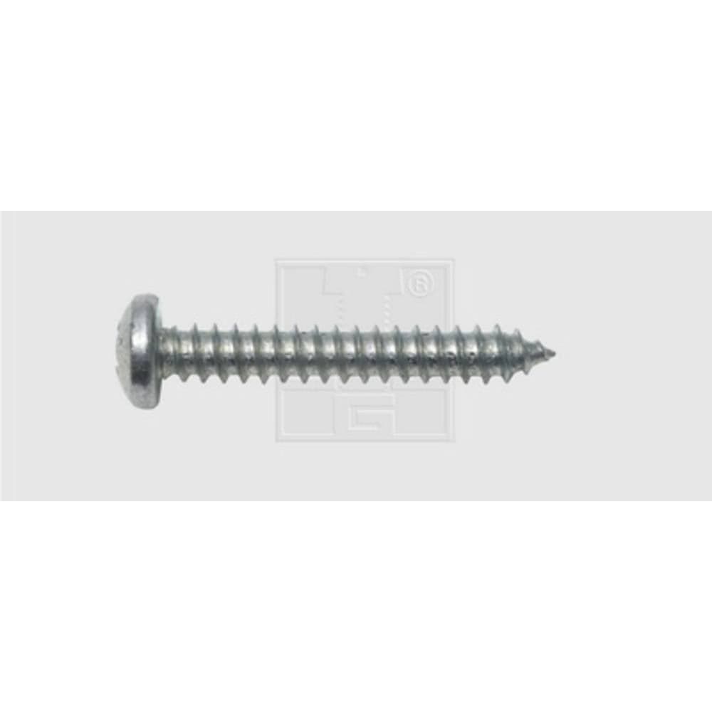 SWG Plåtskruv 2.9 mm 13 mm Stjärnskruvmejsel Philips DIN 7981 Stål förzinkad 100 st