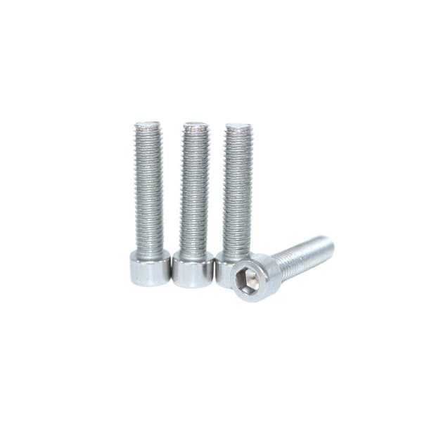 INF 20 STK 10x30 mm skruer, rustfrit stål sekskantede hætteskruer