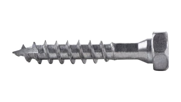 Skruer til tømrerfuger SSH 10,0x60mm