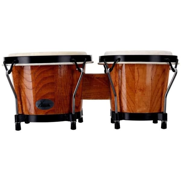 XDrum Bongo Club Tobacco standard