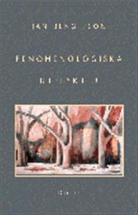 Fenomenologiska utflykter