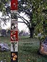 Hemmet, trakten, världen : arkeologi i Östergötland
