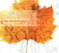 Divine : det gyllene rummet