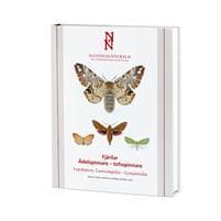 Fjärilar : ädelspinnare - tofsspinnare. Lepidoptera : lasiocampidae - lymantriidae