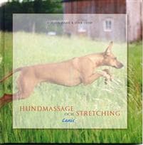 Hundmassage och stretching