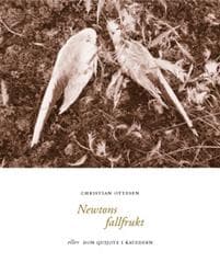 Newtons fallfrukt : eller Don Quijote i katedern