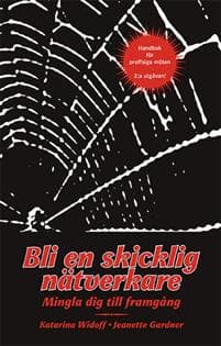 Bli en skicklig nätverkare : mingla dig till framgång