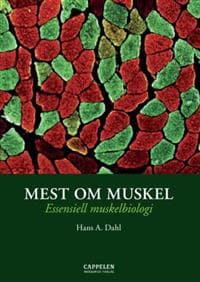 Mest om muskel