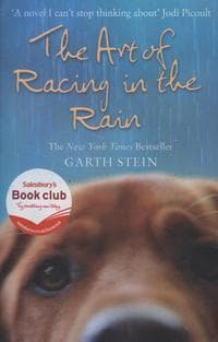 Art of Racing in the Rain