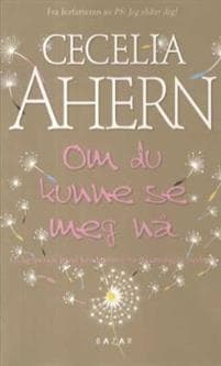Om du kunne se meg nå