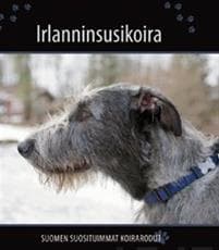 Irlanninsusikoira