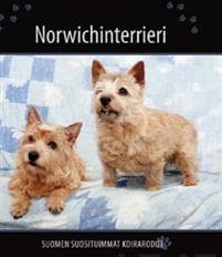 Norwichinterrieri