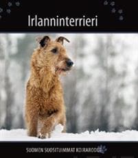 Irlanninterrieri