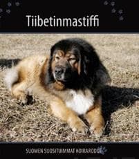 Tiibetinmastiffi