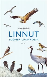 Linnut Suomen luonnossa