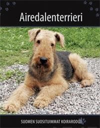 Airedalenterrieri