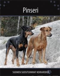 Pinseri
