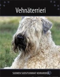 Vehnäterrieri
