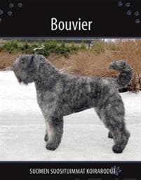 Bouvier
