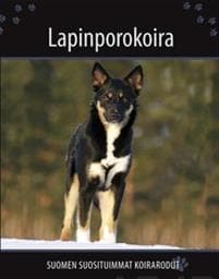 Lapinporokoira