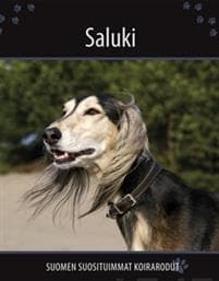 Saluki