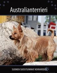 Australianterrieri