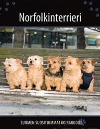Norfolkinterrieri