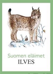 Ilves