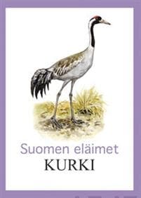 Kurki
